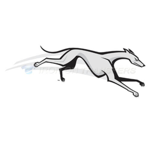 Loyola Maryland Greyhounds Logo T-shirts Iron On Transfers N4888